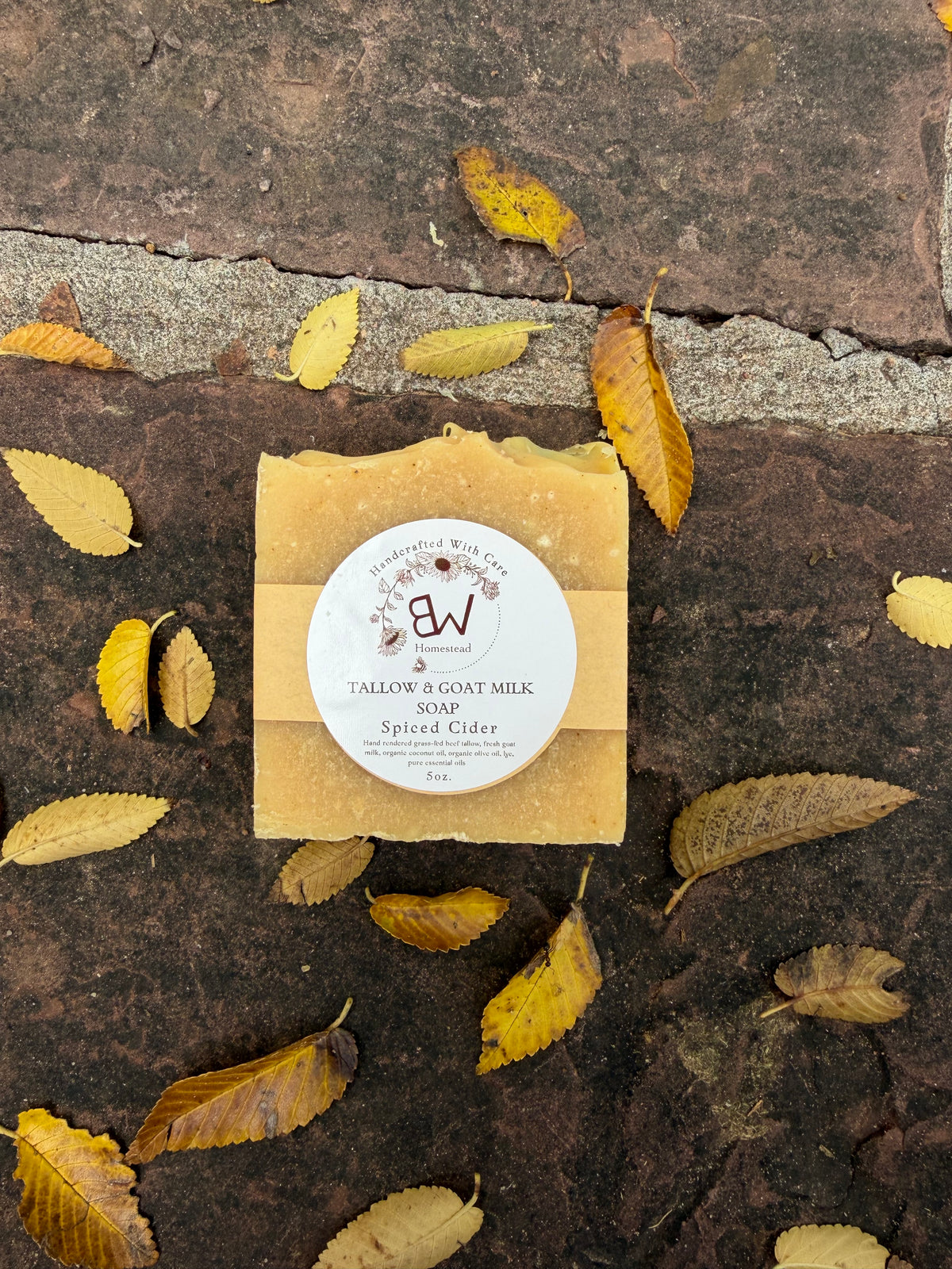 Spiced Cider Tallow & Goat Milk Soap