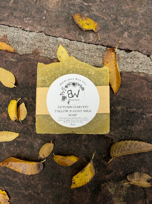 Autumn Harvest Tallow & Goat Milk Soap