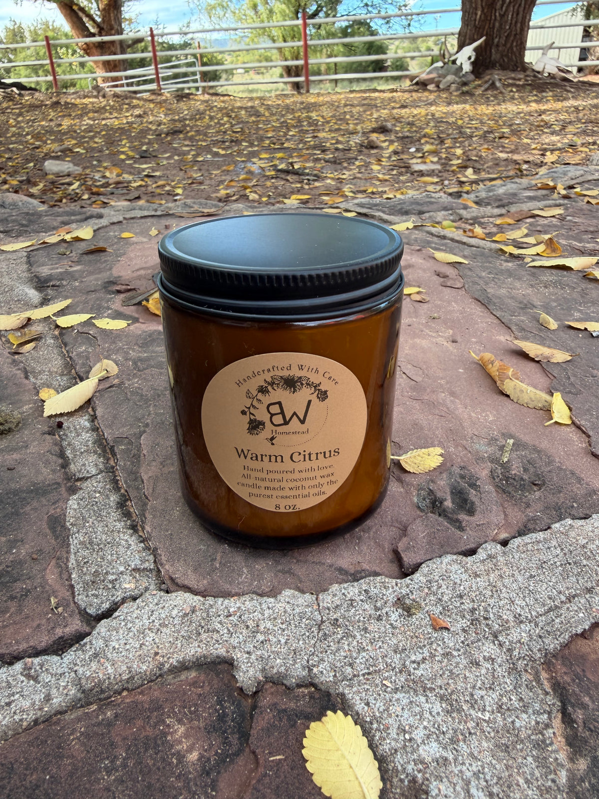 Warm Citrus Candle