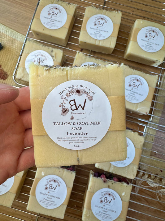 Lavender Tallow & Goat Milk Soap Bar